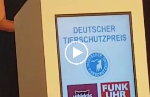 Deutscher Tierschutzpreis 2018