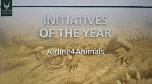 Initiative Award of the year 2020