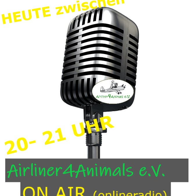 Radiointerview im Haustierkanal: