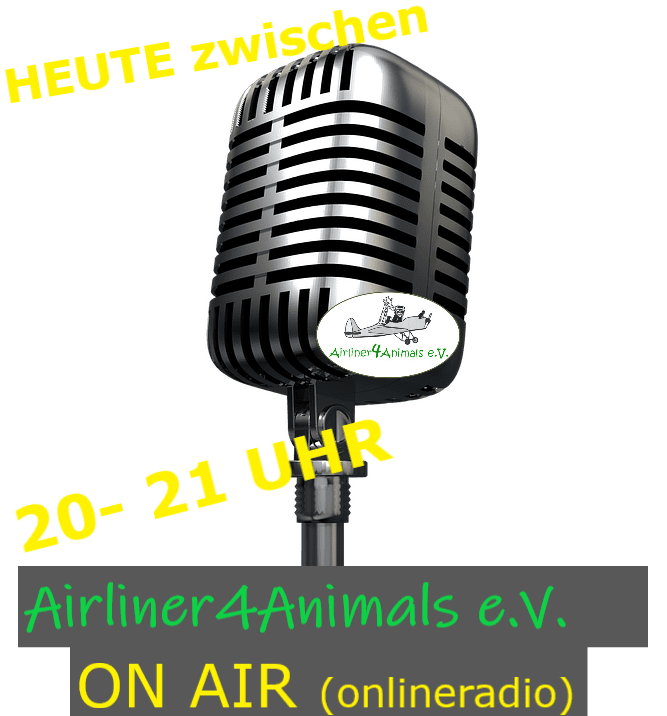 Radiointerview im Haustierkanal: